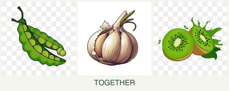 Can you plant peas, garlic and kiwi together?