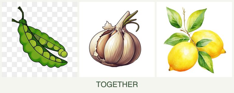 Can you plant peas, garlic and lemons together?
