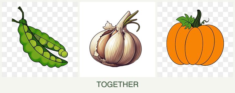 Can you plant peas, garlic and pumpkin together?