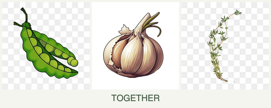 Can you plant peas, garlic and thyme together?