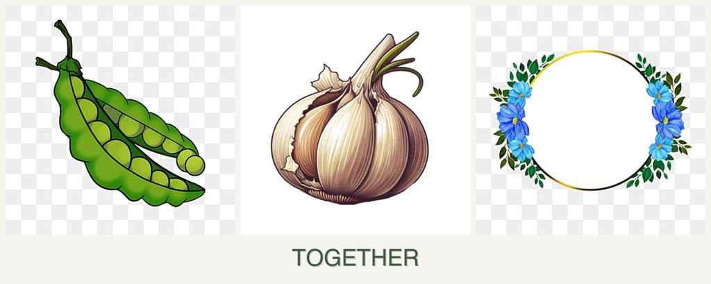 Can you plant peas, garlic and zinnias together?
