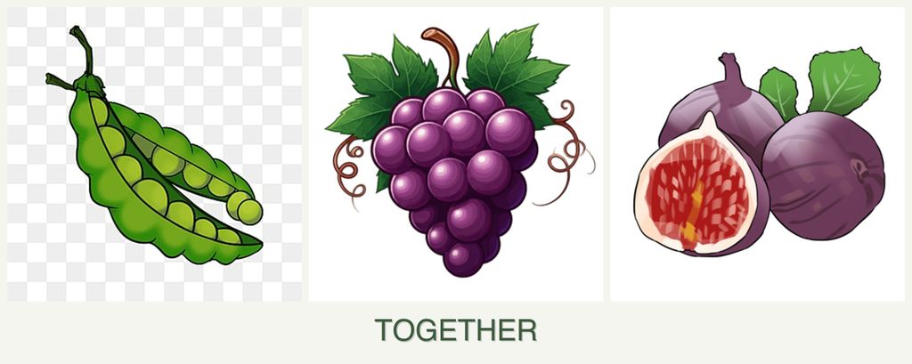 Can you plant peas, grapes and figs together?