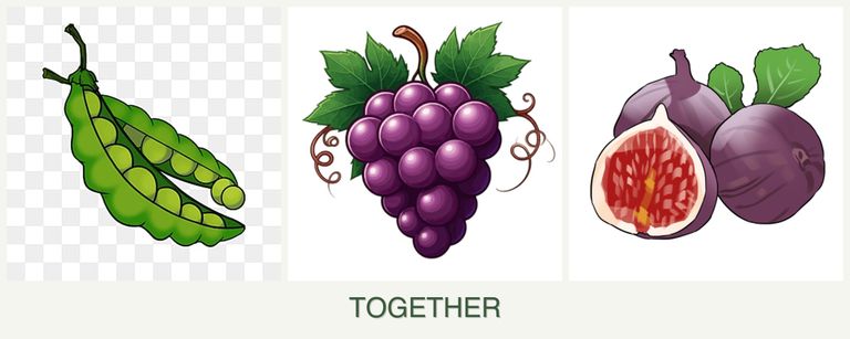 Can you plant peas, grapes and figs together?