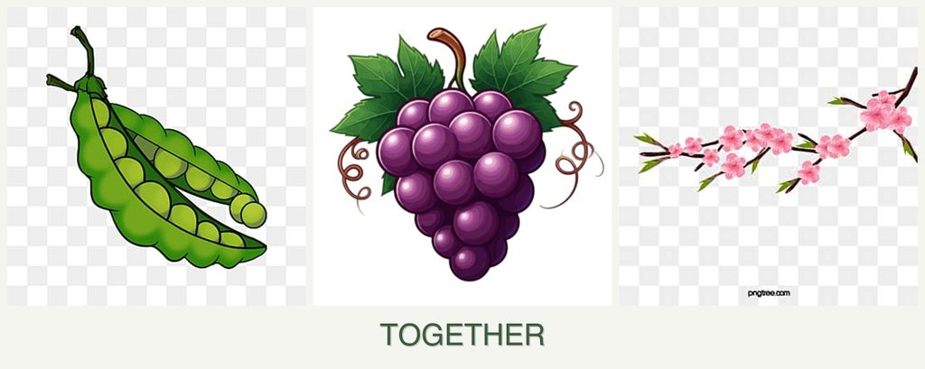 Can you plant peas, grapes and peaches together?