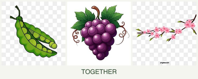 Can you plant peas, grapes and peaches together?