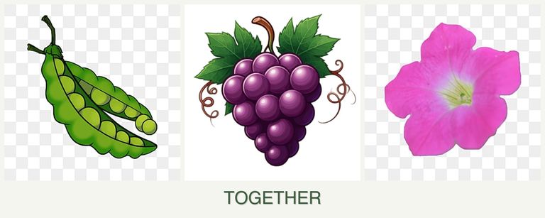 Can you plant peas, grapes and petunias together?