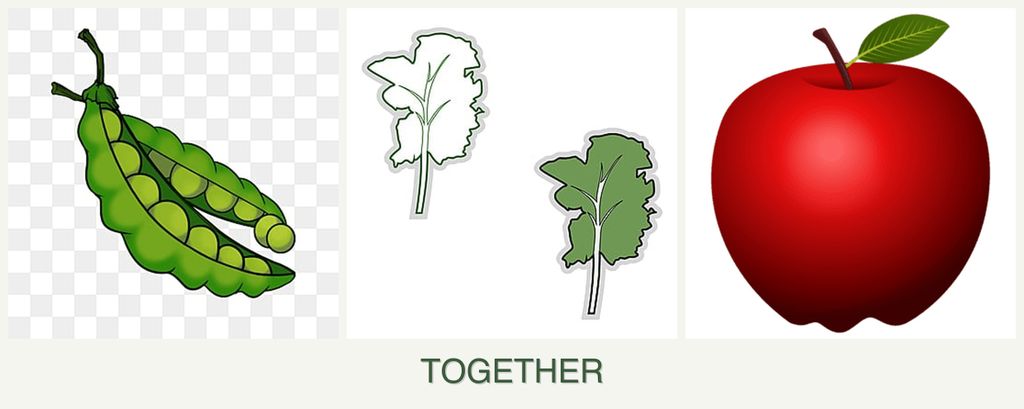 Can you plant peas, kale and apples together?