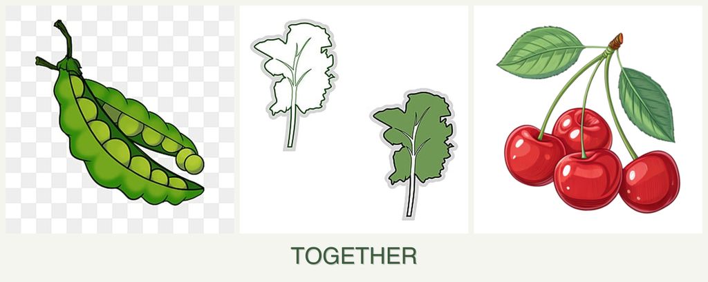 Can you plant peas, kale and cherries together?