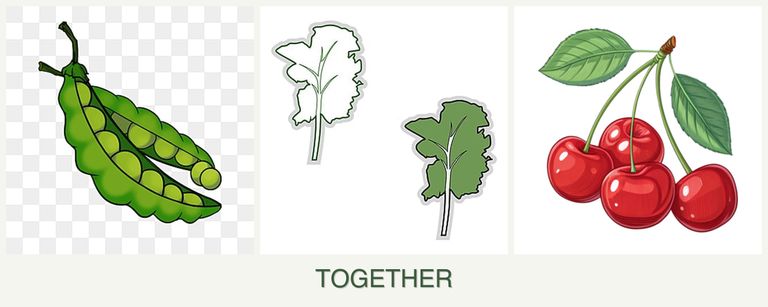 Can you plant peas, kale and cherries together?