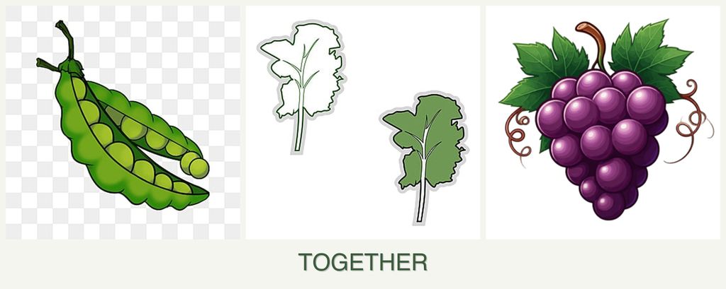Can you plant peas, kale and grapes together?