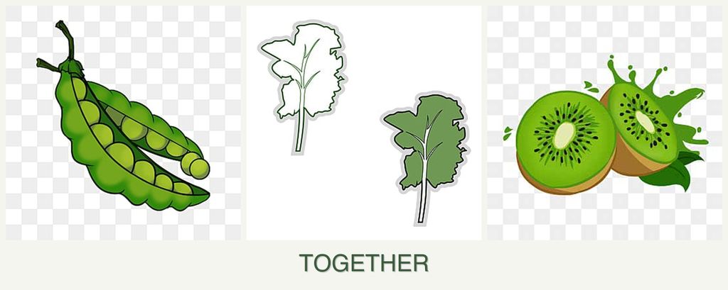 Can you plant peas, kale and kiwi together?