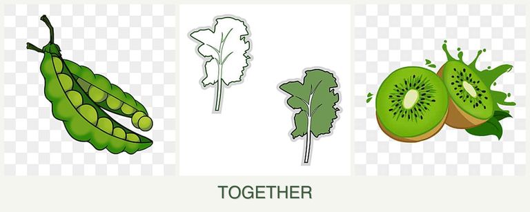 Can you plant peas, kale and kiwi together?