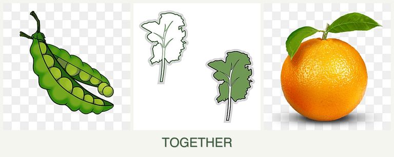 Can you plant peas, kale and oranges together?