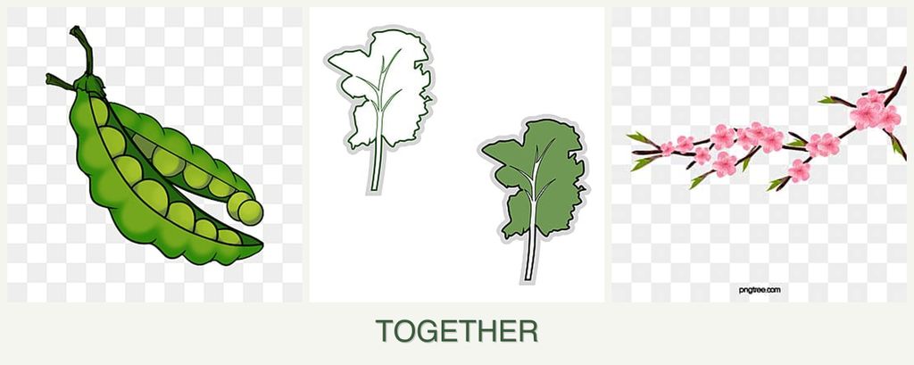 Can you plant peas, kale and peaches together?