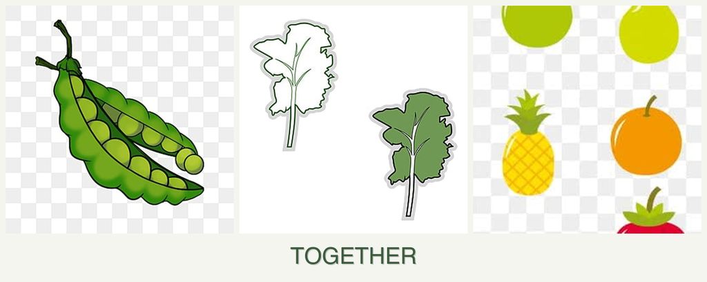 Can you plant peas, kale and pears together?