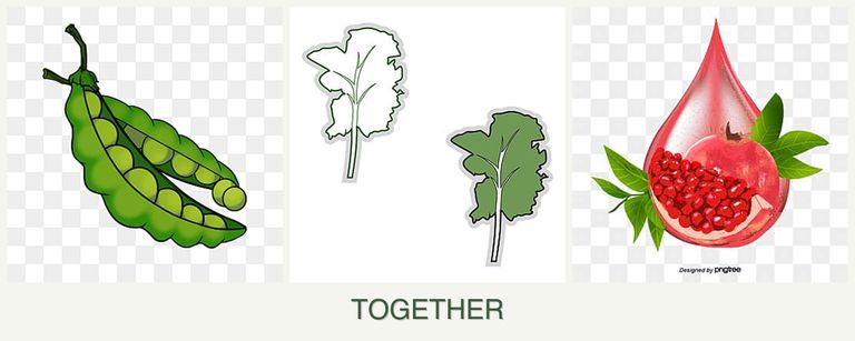 Can you plant peas, kale and pomegranates together?
