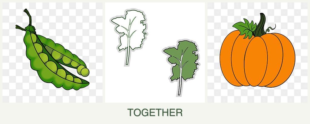 Can you plant peas, kale and pumpkin together?