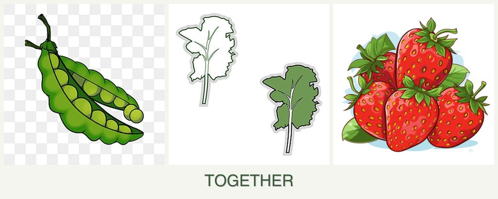 Can you plant peas, kale and strawberries together?