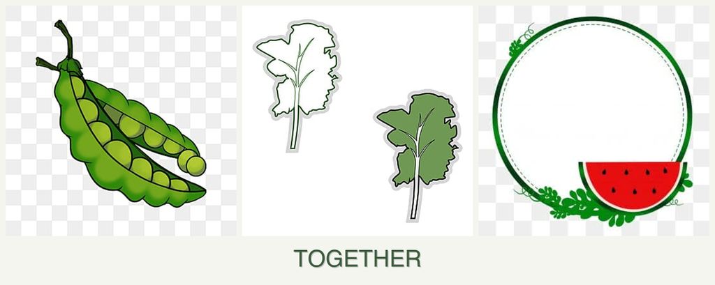 Can you plant peas, kale and watermelons together?