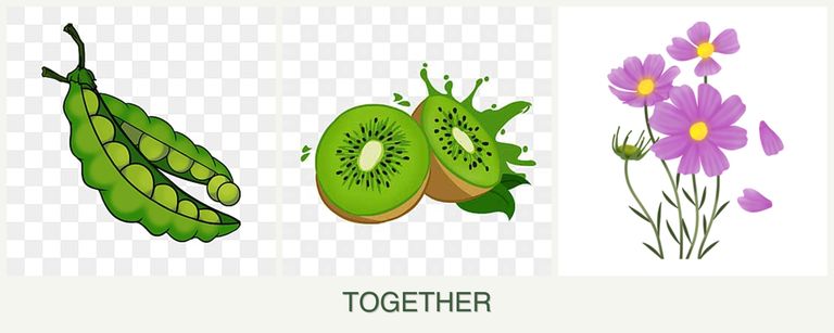 Can you plant peas, kiwi and cosmos together?