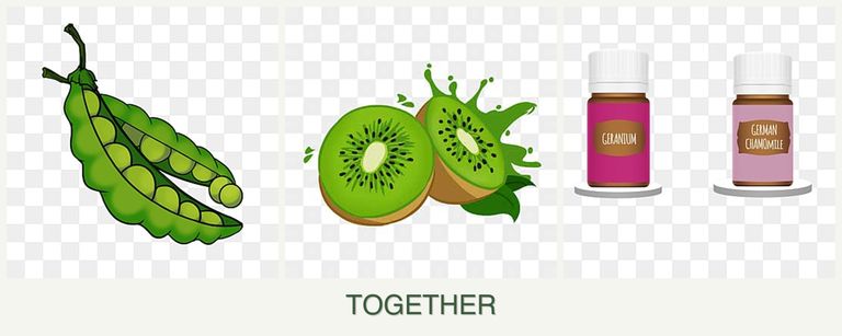 Can you plant peas, kiwi and geraniums together?