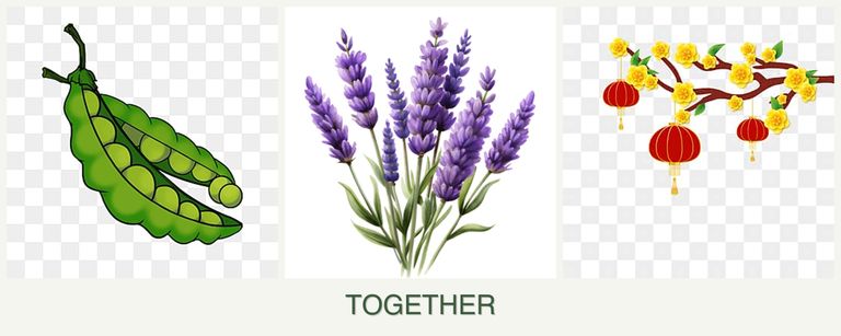 Can you plant peas, lavender and apricots together?