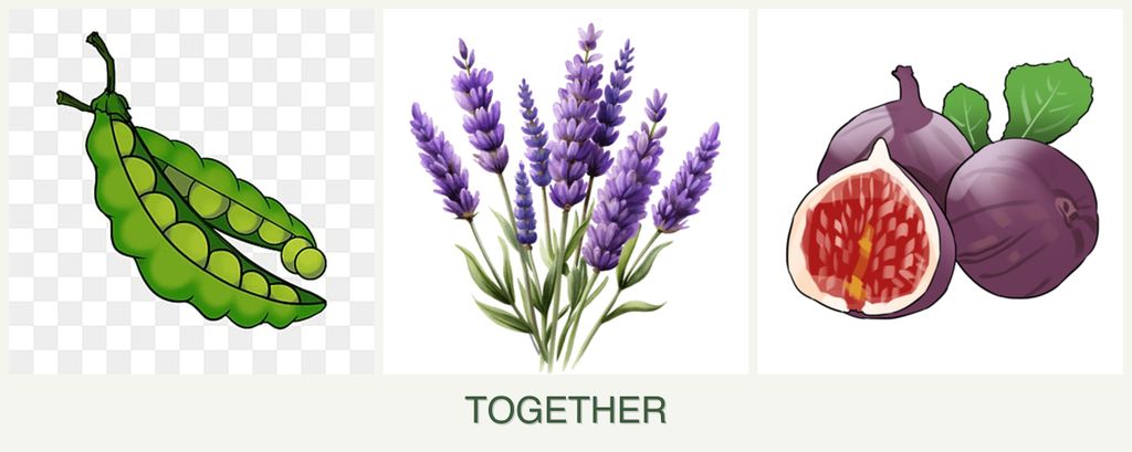 Can you plant peas, lavender and figs together?