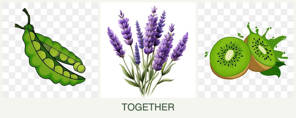 Can you plant peas, lavender and kiwi together?