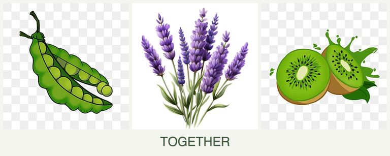 Can you plant peas, lavender and kiwi together?