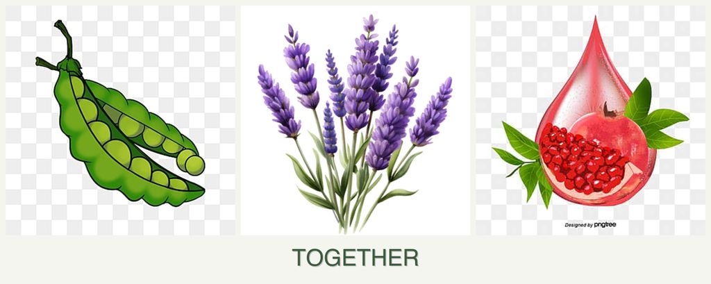 Can you plant peas, lavender and pomegranates together?