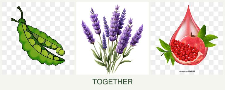 Can you plant peas, lavender and pomegranates together?