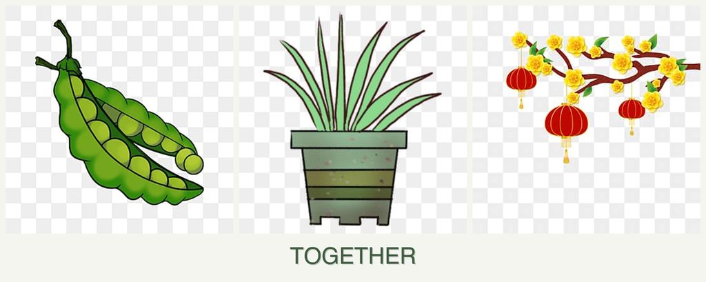 Can you plant peas, lemongrass and apricots together?
