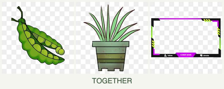 Can you plant peas, lemongrass and limes together?