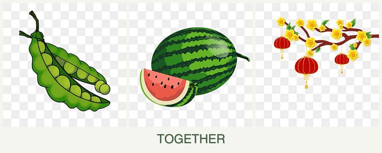 Can you plant peas, melons and apricots together?