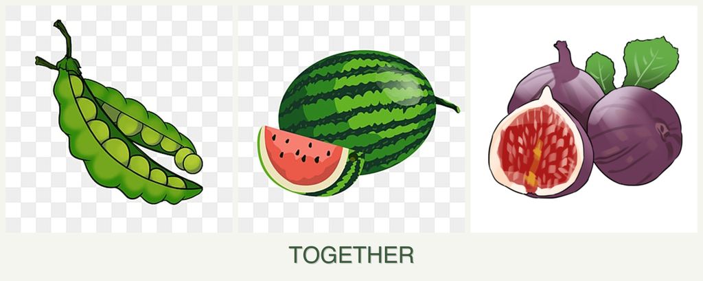 Can you plant peas, melons and figs together?