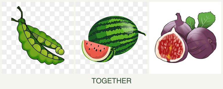 Can you plant peas, melons and figs together?