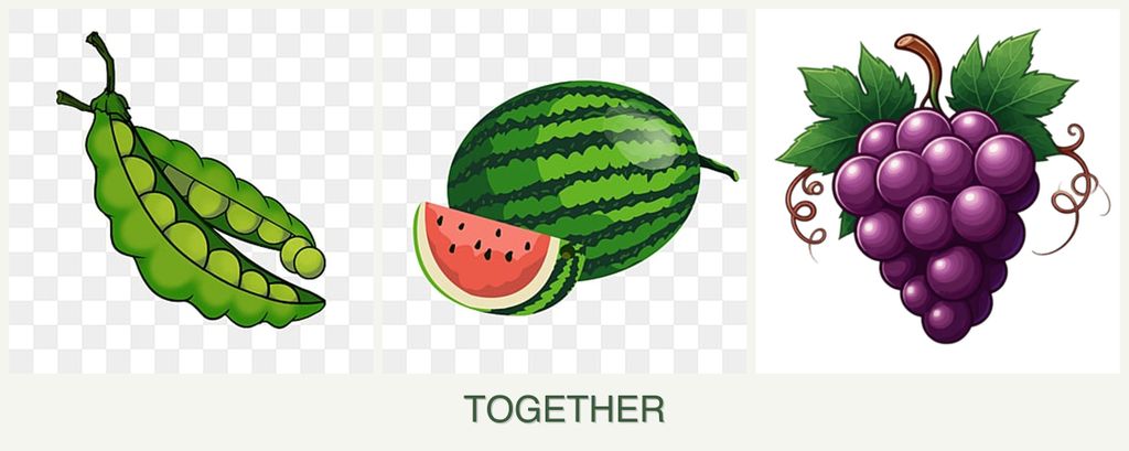 Can you plant peas, melons and grapes together?