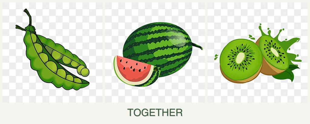 Can you plant peas, melons and kiwi together?