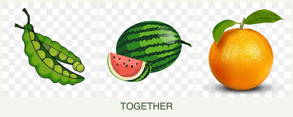 Can you plant peas, melons and oranges together?