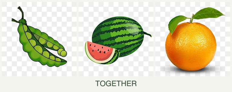 Can you plant peas, melons and oranges together?