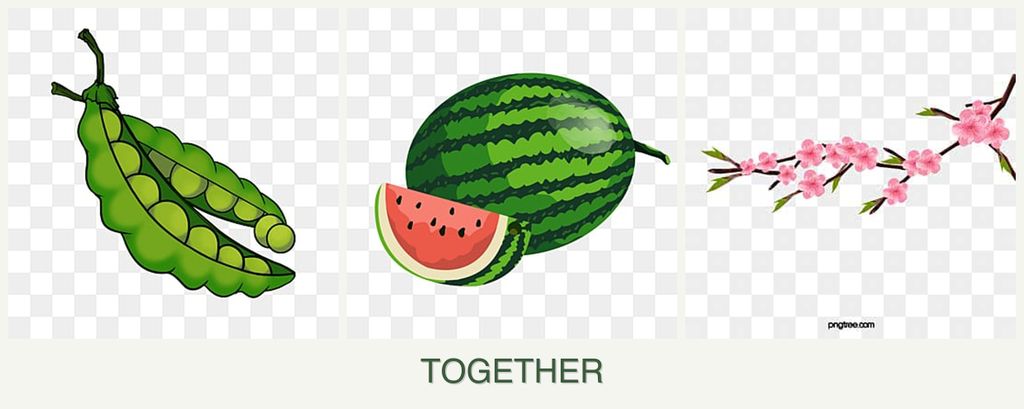 Can you plant peas, melons and peaches together?