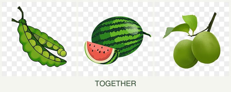 Can you plant peas, melons and plums together?