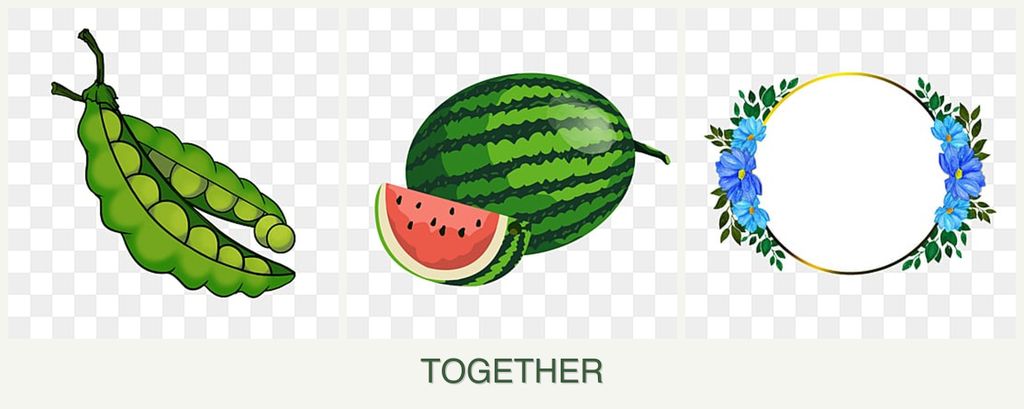Can you plant peas, melons and zinnias together?