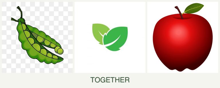 Can you plant peas, mint and apples together?