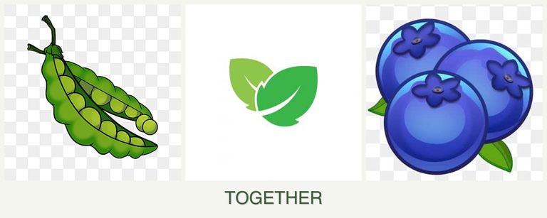 Can you plant peas, mint and blueberries together?