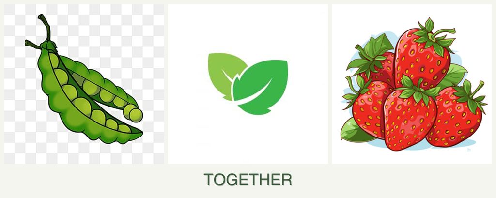 Can you plant peas, mint and strawberries together?