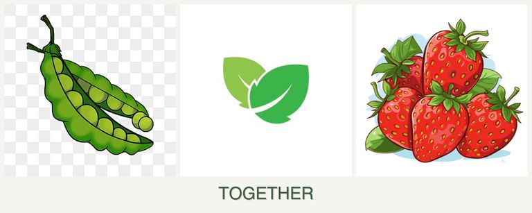 Can you plant peas, mint and strawberries together?