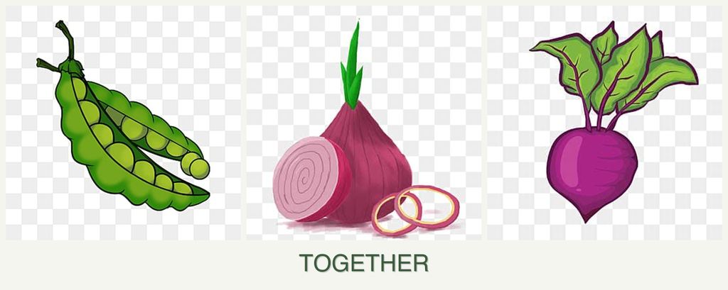 Can you plant peas, onions and beets together?