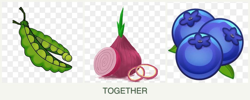 Can you plant peas, onions and blueberries together?