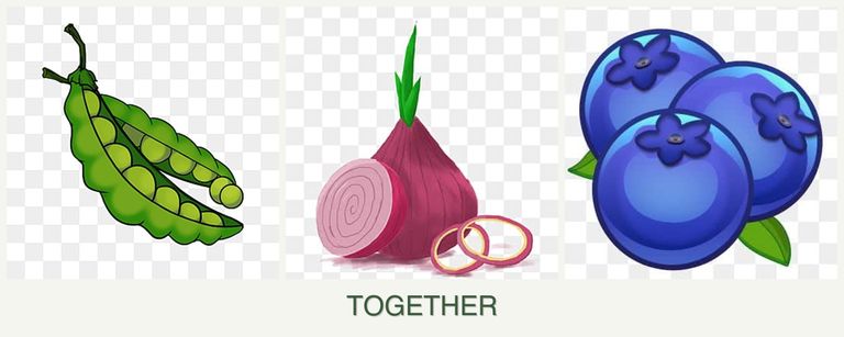 Can you plant peas, onions and blueberries together?